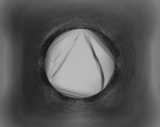 X0000086981495200705071406