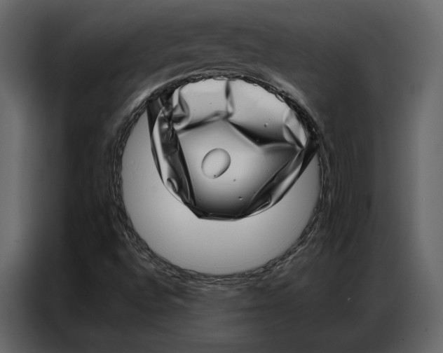 X0000086981496200705071406