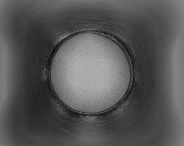 X0000086981497200705071406