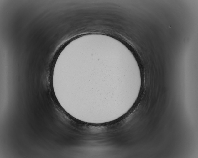 X0000086981498200705071406