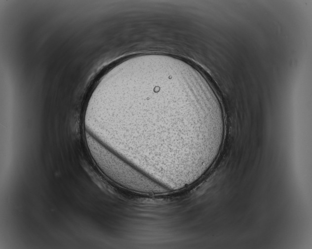 X0000086981499200705071406