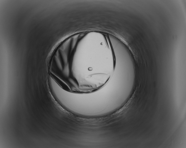 X0000086981500200705071406