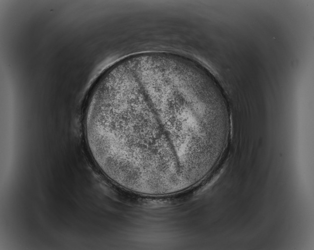 X0000086981501200705071406