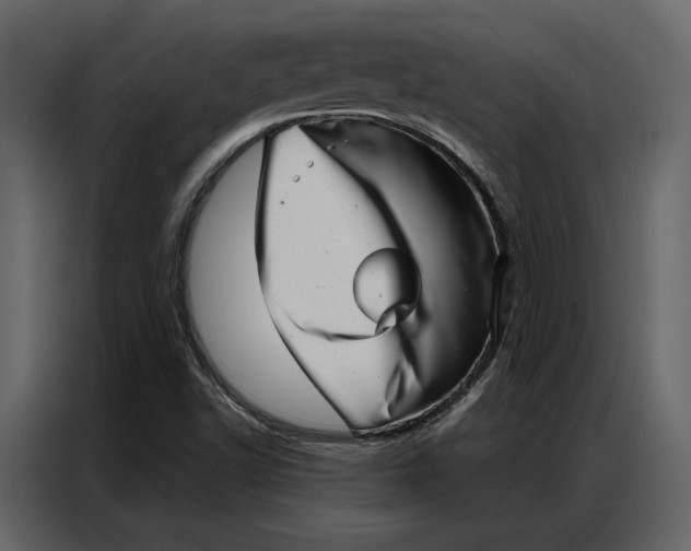 X0000086981502200705071406