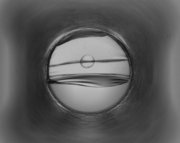 X0000086981504200705071406