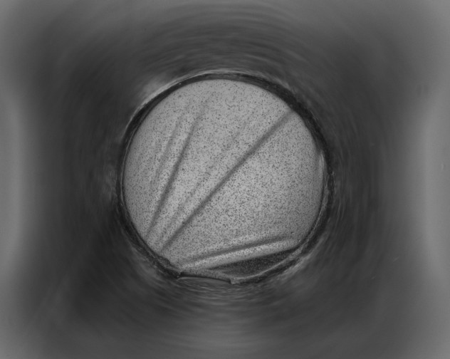 X0000086981505200705071406