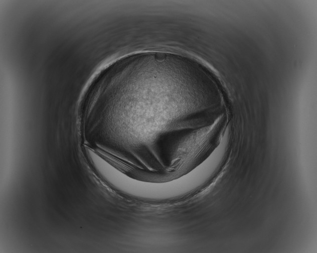 X0000086981506200705071406