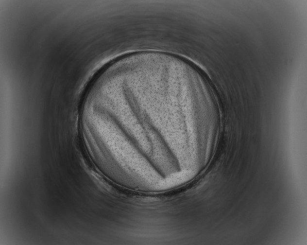 X0000086981507200705071406