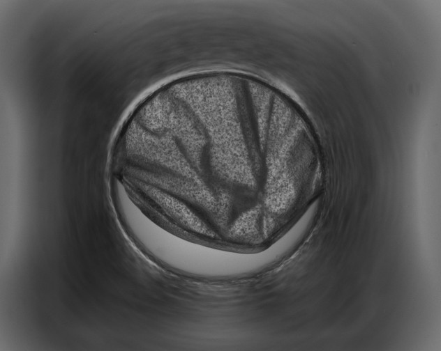 X0000086981508200705071406