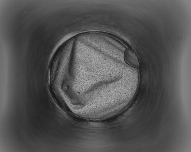 X0000086981509200705071406