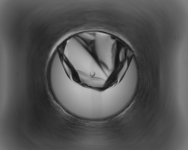 X0000086981510200705071406