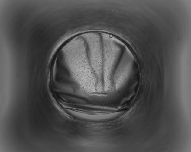 X0000086981511200705071406