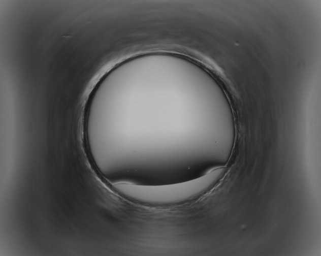 X0000086981512200705071406