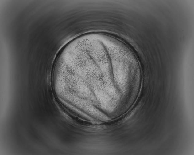 X0000086981513200705071406