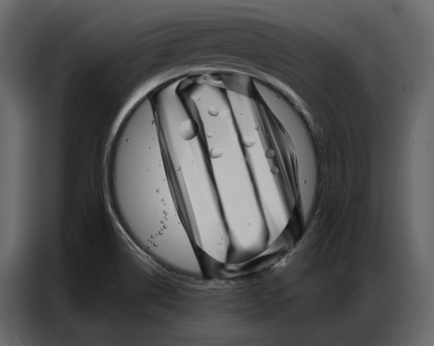 X0000086981514200705071406