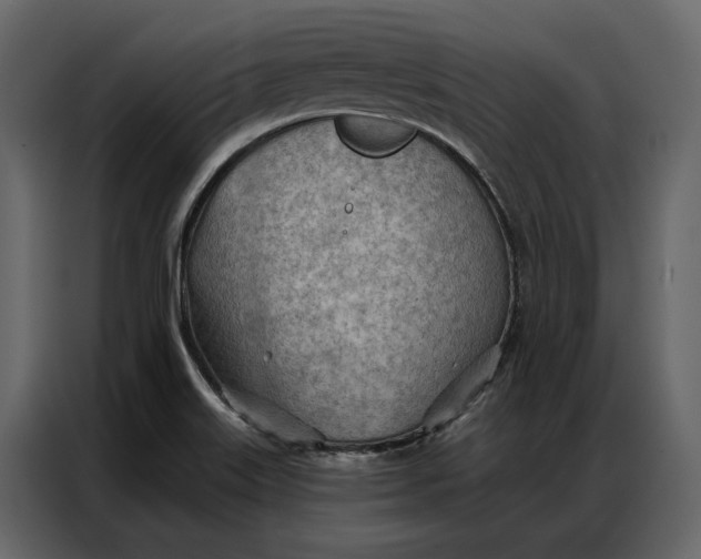 X0000086981515200705071406