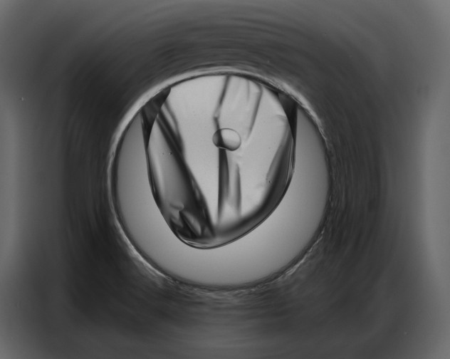 X0000086981516200705071406