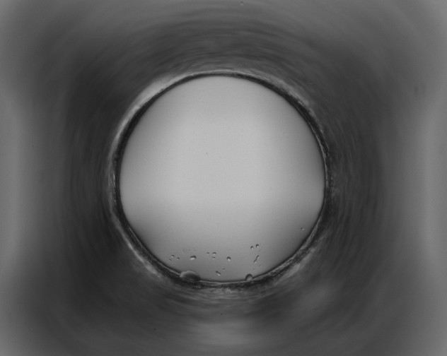 X0000086981517200705071406