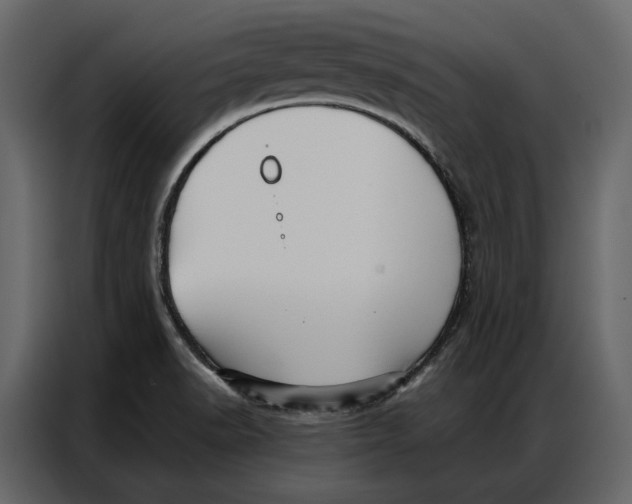 X0000086981518200705071406