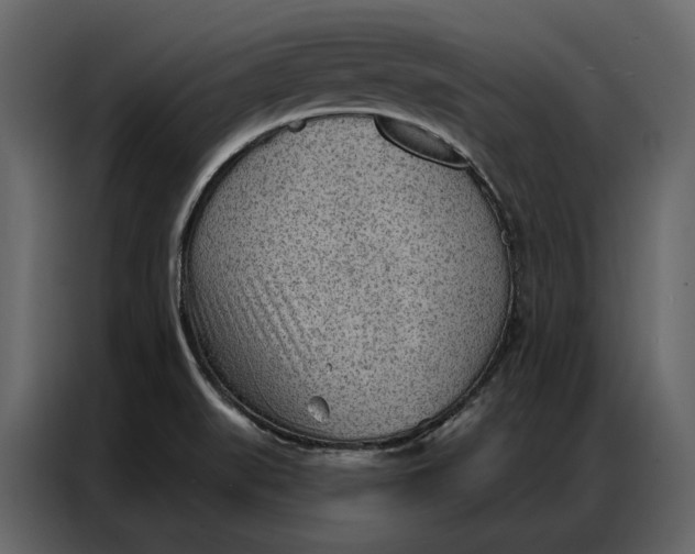 X0000086981519200705071406