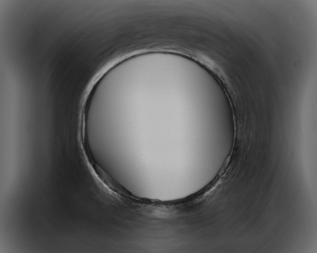 X0000086981520200705071406