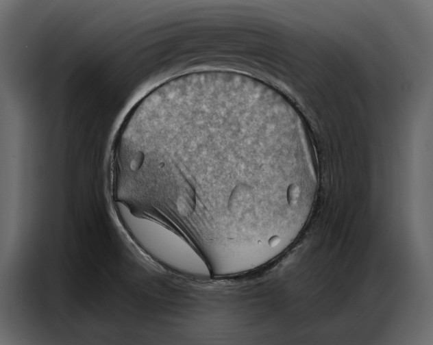 X0000086981522200705071406