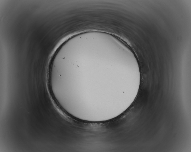 X0000086981523200705071406