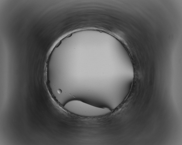 X0000086981524200705071406