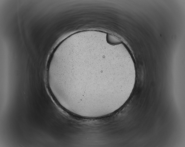 X0000086981525200705071406