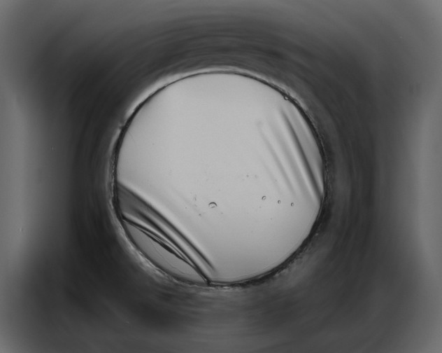 X0000086981526200705071406