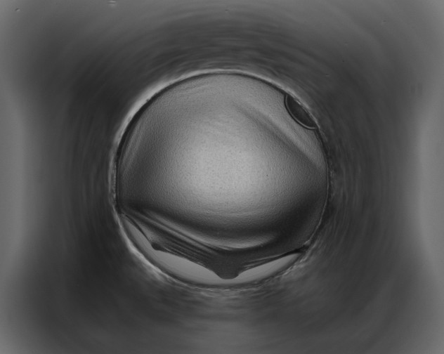 X0000086981527200705071406