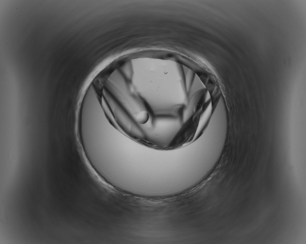 X0000086981528200705071406