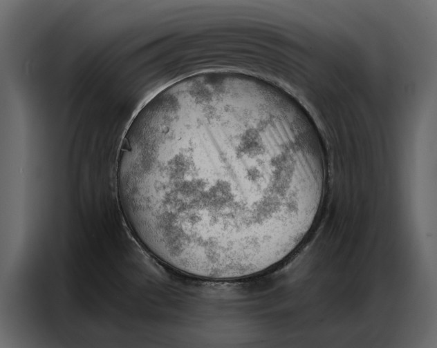 X0000086981529200705071406