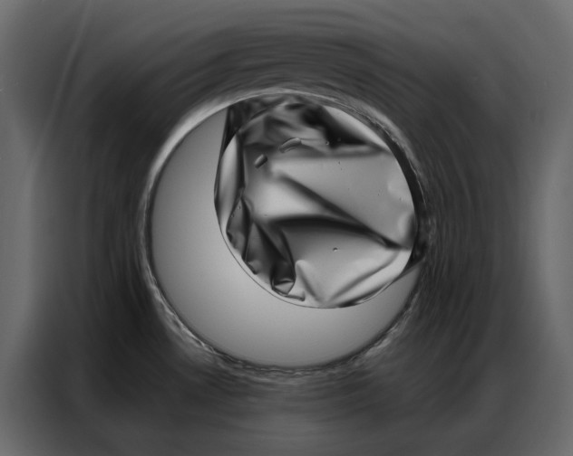 X0000086981530200705071406