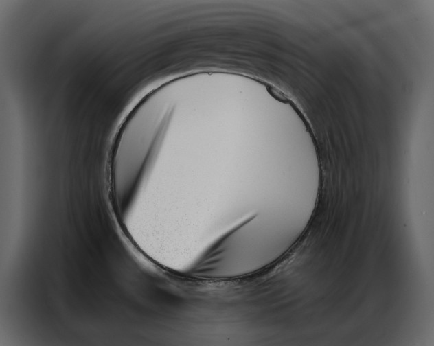 X0000086981531200705071406