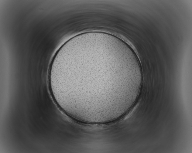 X0000086981533200705071407