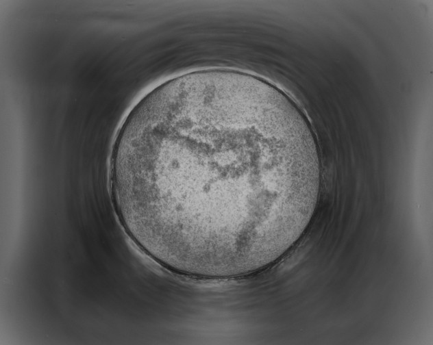 X0000086981535200705071407