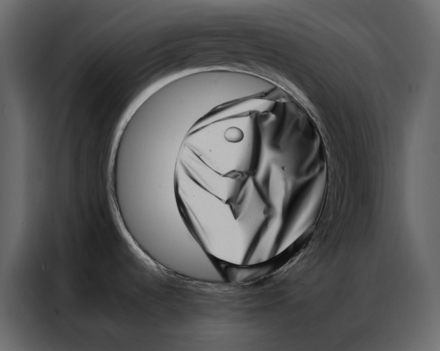 X0000086981536200705071407