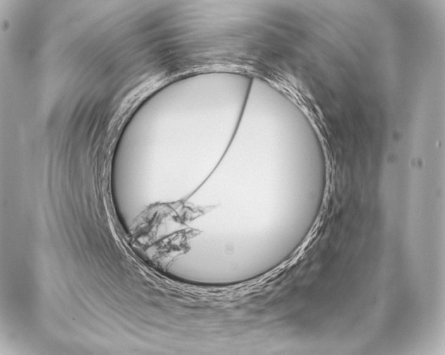 X0000086980001200705141727