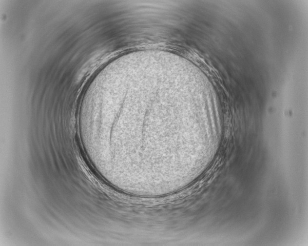 X0000086980002200705141727