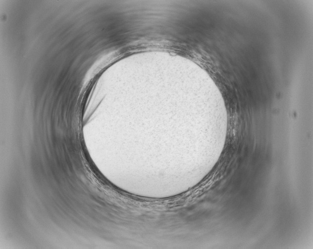 X0000086980004200705141727