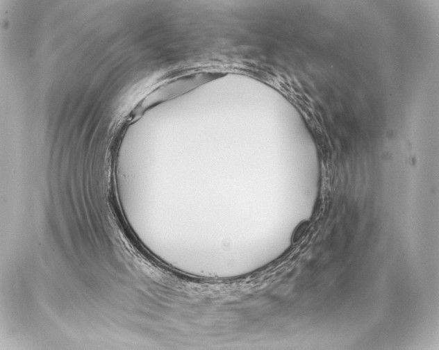 X0000086980005200705141727