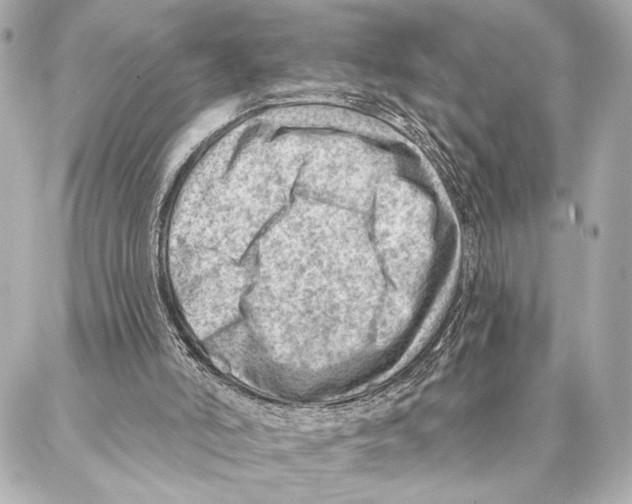 X0000086980006200705141727