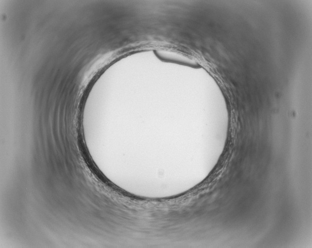 X0000086980007200705141727