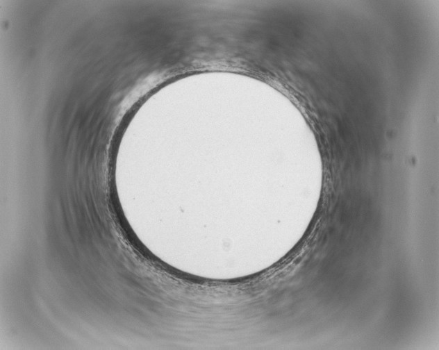 X0000086980008200705141727