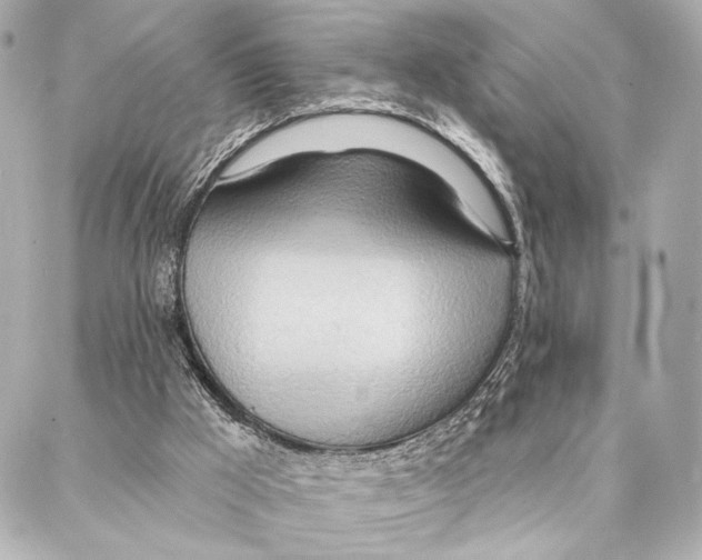 X0000086980009200705141727