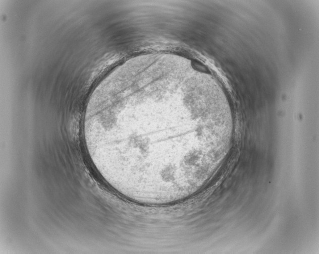 X0000086980010200705141727