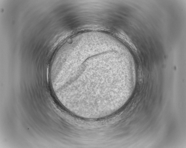 X0000086980014200705141727