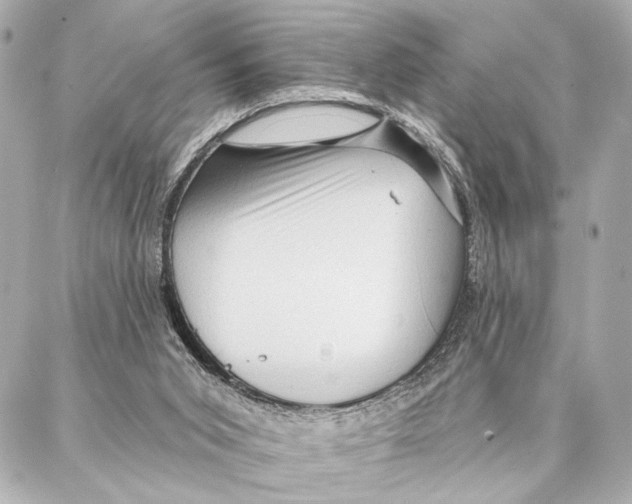 X0000086980015200705141727