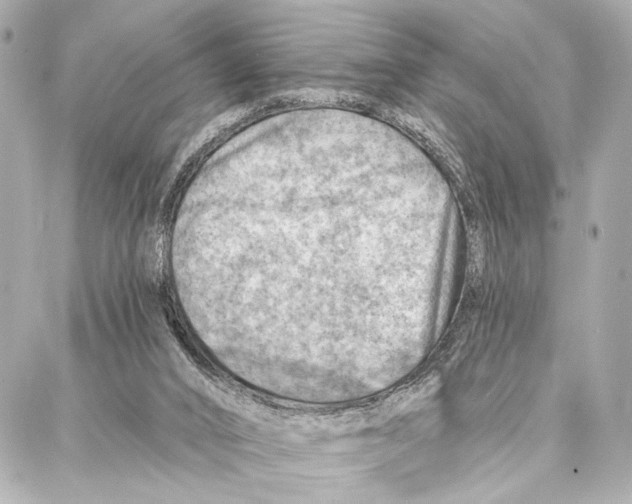 X0000086980016200705141727